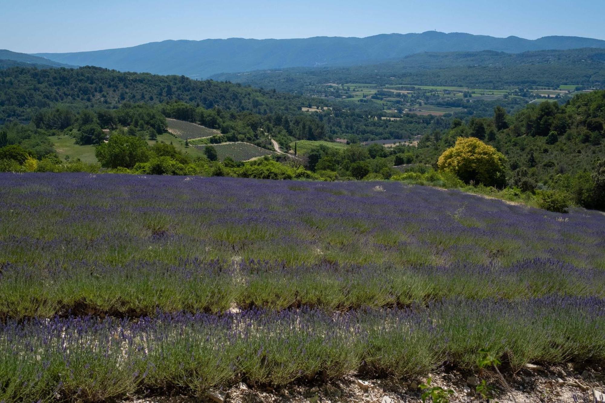 Maison De Campagne La Teranga Au Coeur Du Luberon Apt Exterior foto